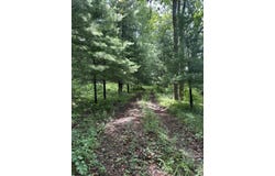 14765 Millard Road, Three Rivers, MI 49093