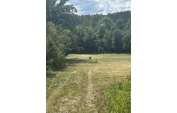 Hwy 32, Van Vleet, MS 38851