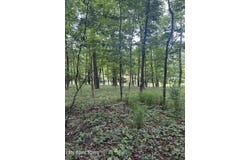 26 Rolling Green Court, Fairfield Glade, TN 38558
