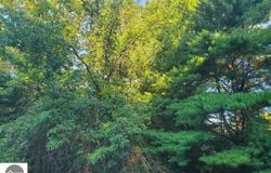 5172 S M-33, Alger, MI 48610