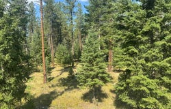 NHN Hwy 37, Libby, MT 59923
