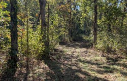 SE 731 Road, Collins, MO 64738
