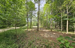 Miami Avenue, Grand Junction, MI 49056