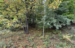 E Old Mountain Road lot: 5, Cedar, MI 49621