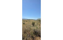 175th St E W10, Llano, CA 93591