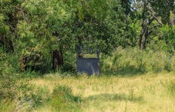 Ranch Rd 648, Doss, TX 78618