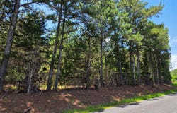 10a Chestnut Ridge Road, McCormick, SC 29835