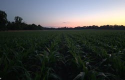 2826 Samson Avenue, Lehigh, IA 50557