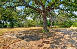1015 Oak Trail, Quinlan, TX 75474