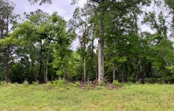 Mississippi 48, Magnolia, MS 39652