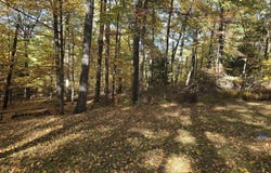 4196 Hemlock Road, Kunkletown, PA 18058