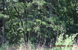 Highway 170 lot: 0, West Fork, AR 72774