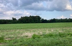 Waycross Road, Turkey, NC 28393