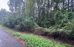 Moses Street, Hope, AR 71801
