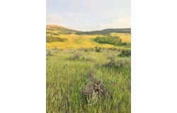 Hoot Owl RD, Inkom, ID 83245