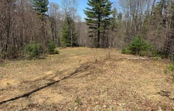 Morris Branch Road, Meadow Bridge, WV 25976