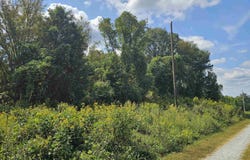 Slumber Drive, Waterloo, SC 29384