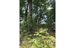 104 Adams Drive, Pangburn, AR 72121