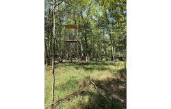 Kinder Morgan Pipeline Road, Tull, AR 72015