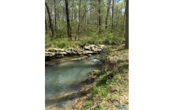 2703 Hwy 36 E, Hartselle, AL 35640