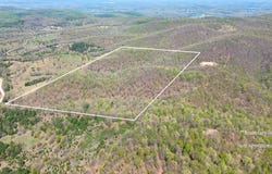 Firebreak Trail, Rea Valley, AR 72634