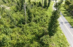183RD RD, Live Oak, FL 32060