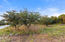 31930 Mirela Ann Rd, Dripping Springs, TX 78620