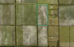 175 COUNTY ROAD 108, Bunnell, FL 32110