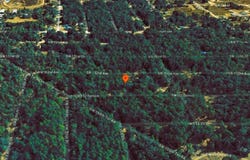 SW 152 Terrace, Ocala, FL 34481