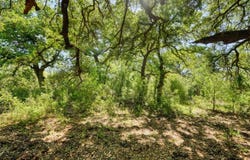 Llano, TX 78643
