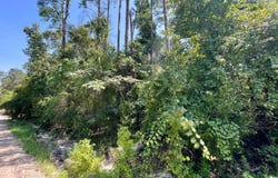 171ST RD lot: 29, Live Oak, FL 32060