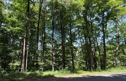 10145 Dustin Road, Remsen, NY 13438
