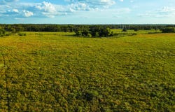 330 County Road 930, Teague, TX 75860