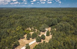 9223 State Highway 32, Salem, MO 65560
