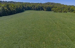 Cecil Croft Road, Salem, KY 42078