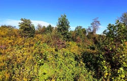 Killwell Run Road, Marietta, OH 45750