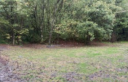 3350 Lower Pompey Branch Road, Shelbiana, KY 41562