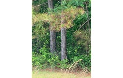 OAK HILL Cir, Hamilton, AL 35570