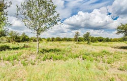 120 Hillcrest Ln, Dale, TX 78616