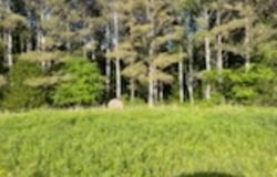 001 Hindman Rd, Hodges, AL 35571