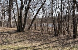 Paradise Drive, Browerville, MN 56438