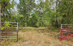 Hallelujah Drive, Crane, MO 65633