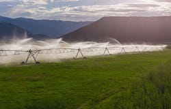 584 CR 331, Silt, CO 81652
