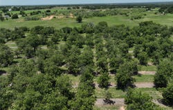 CR 426, Comanche, TX 76442