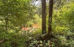 14500 Wolfe Road, Amesville, OH 45711