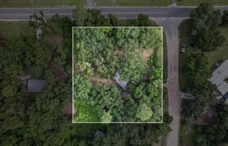 10 Lake Ellen Shores Drive, Crawfordville, FL 32327