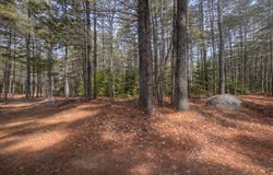 15 Stan's Road, Harrison, ME 04040