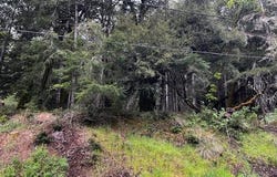 24403 Cypress Drive, Willits, CA 95490