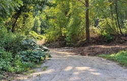 Easter Hollow Road, Ridgeview, WV 25169