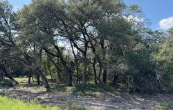 Rifle Ridge lot: 23, Burnet, TX 78611